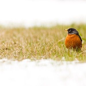 Meet your Posher, Mimi